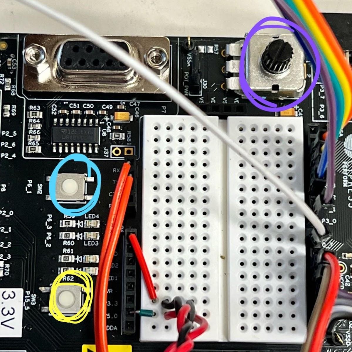 potentiometer + buttons